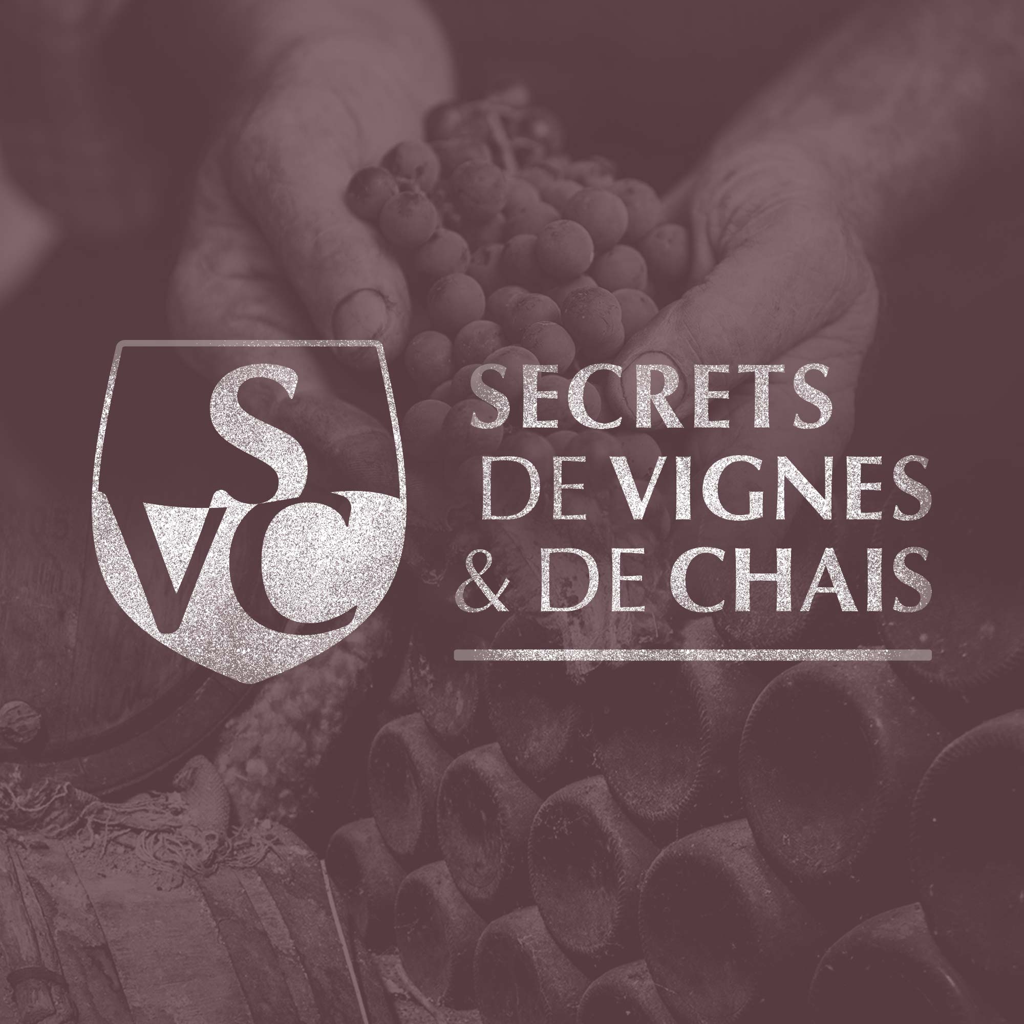 Logo Secrets de Vignes et de Chais